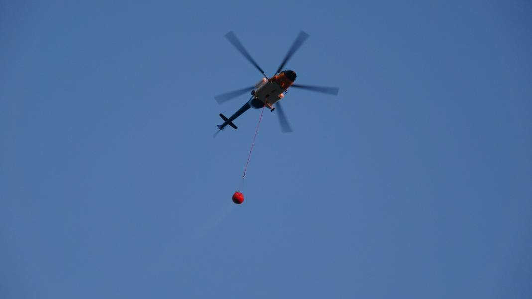 Çanakkale'deki Tarihi Alan'ın güney hattı ziyarete açıldı! Orman yangınında kapatılmıştı - Resim: 32
